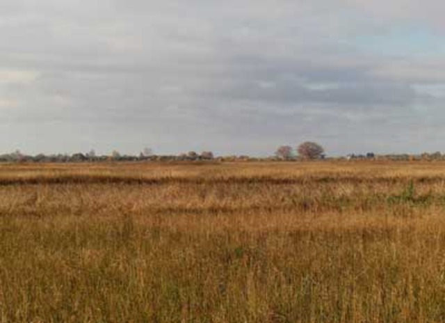 Environmental History Podcast