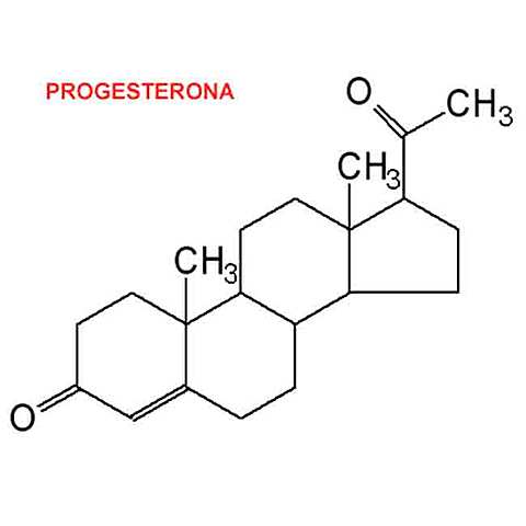 Corner descubre la progesterona