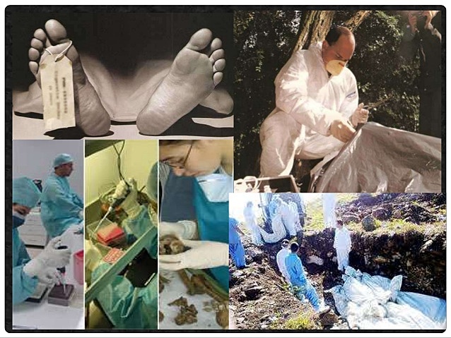 Presupuesto en Panamá