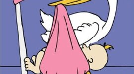 Timeline: Salam Khudair's Awsome Life