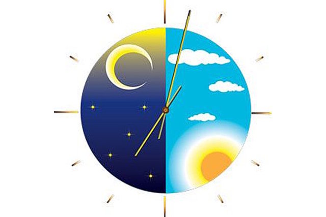 Varios autores informan sobre el ritmo circadiano de la melatonina.