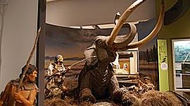 Timeline: Japoniaren historia