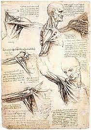 Leonardo étudie l'anatomie (1472 - 1515 )