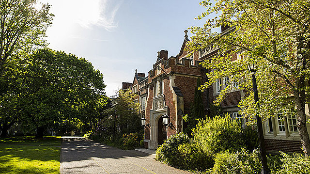 Sus estudios universitarios