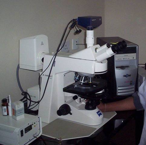 An automated flourescence sequencer was invented, speeding up the labor-intense process.