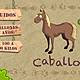 Caballo