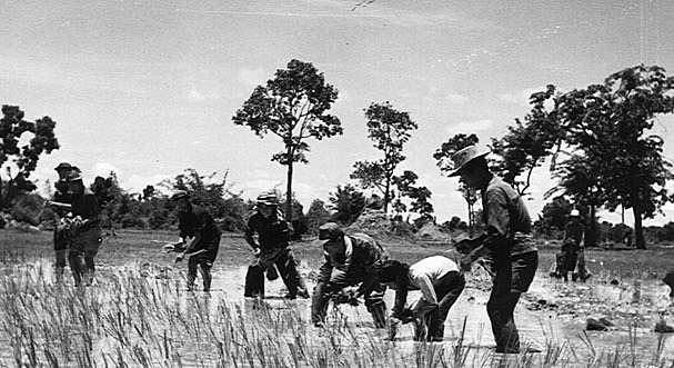 The CPK implements the 4 year plan