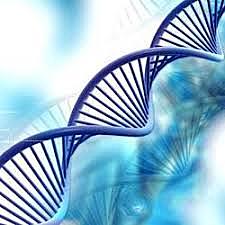 Cohen and Boyer pioneer recombinant DNA techniques
