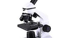 Timeline: MICROSCOPIO OPTICO