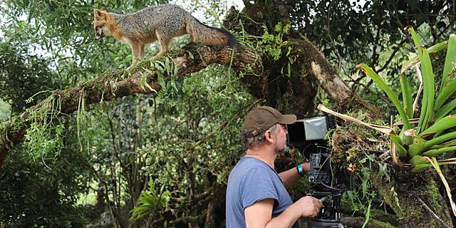 ‘Vecinos inesperados’, un documental para conocer la fauna bogotana