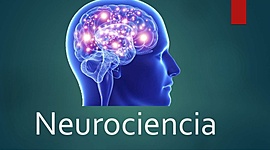 Timeline: Historia de la Neurociencia