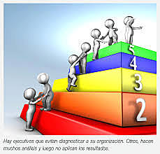 Desarrollo organizacional