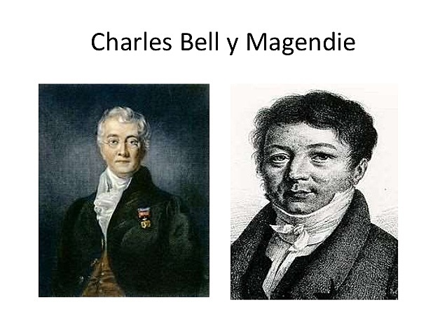 CHARLLES BELL y  FRANCOIS MAGENDIE
