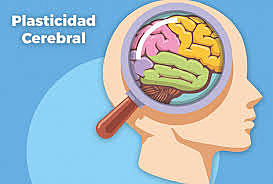 Edad 0-1 año de vida