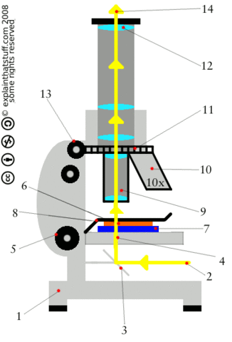 Comment un microscope fonctionne