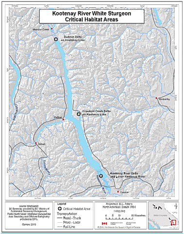 Suit filed for Critical Habitat Designation