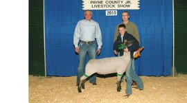 Timeline: austins timeline