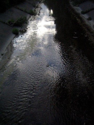 Leaves Kamala and his life and tries to commit suicide