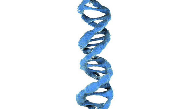 El modelo de doble hélice