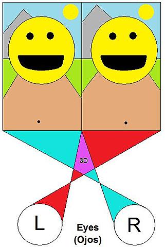 comienzo de la esteroscopia ( 3D )