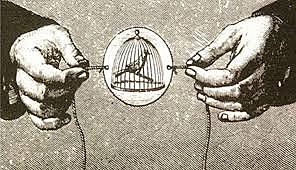 etapa de ilucion de movimiento