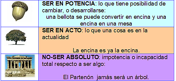 Aristoteles Ente o Ser