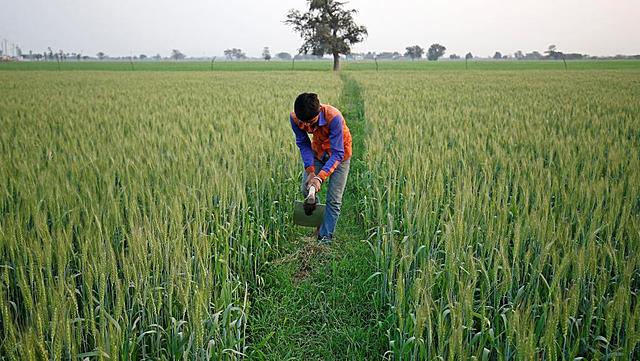Les premiers agriculteurs