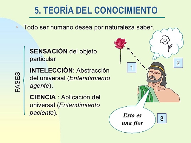Aristoteles. El conocimiento Humano