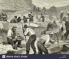 Comienza la fiebre de oro en Australia