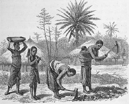 EXPLOTACIÓN ECONÓMICA SISTEMÁTICA