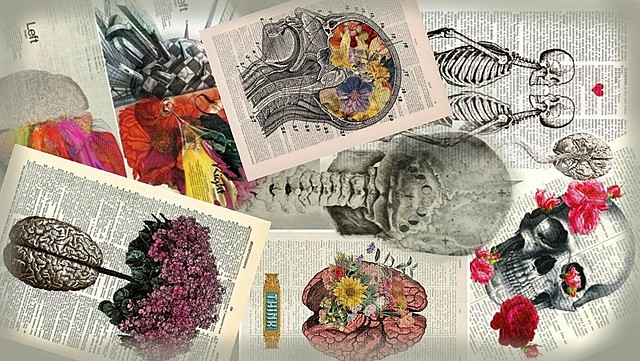 La ciencia parte fundamental de la Psicología.