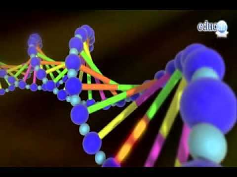 Software libre Gabedit