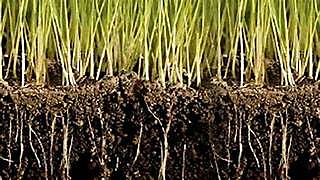 Microbiologia Agricola