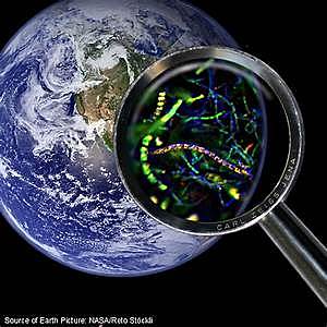 Microbiologia Ambiental
