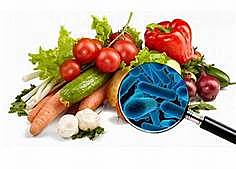 Microbiologia de alimentos