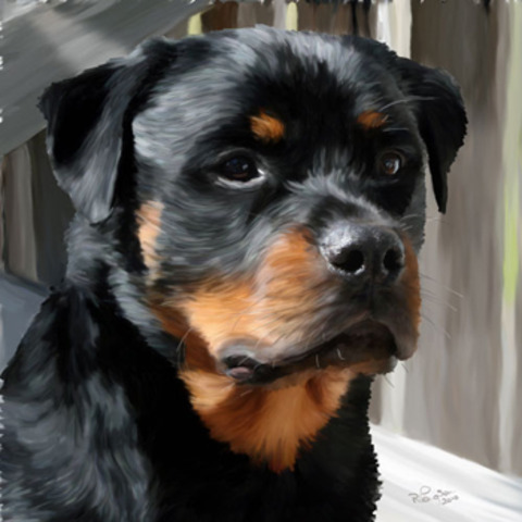 Photo realism in painting