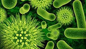 PENSAMIENTO BIOLOGISTA