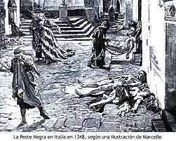 PESTE BUBONICA