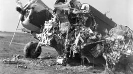 Timeline: Lord of the Flies-Bri-Anna