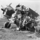 Plane wreck 3