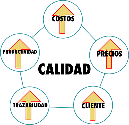 Aseguramiento De La Calidad