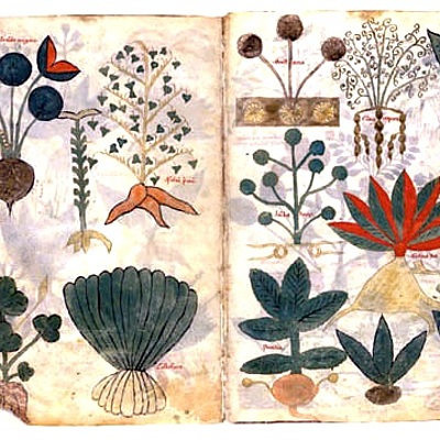 Timeline: Historia de la Farmacología