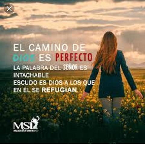 Mi acercamiento con dios