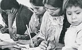 Ley de Instrucción Rudimentaria