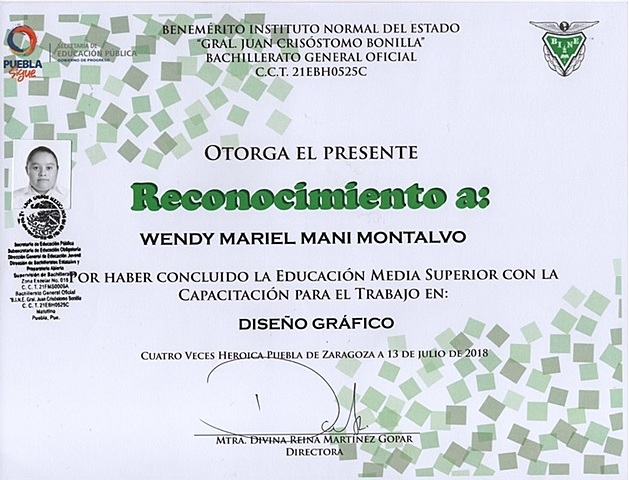 RECONOCIMIENTO DE CAPACITACIÓN DE DISEÑO DE BACHILLER