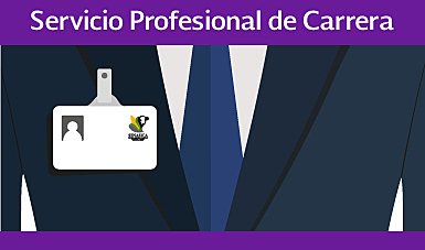 Ley del Servicio Profesional de Carrera y creación de la Secretaría de la Función Pública y el Programa Especial de Mejoramiento de la Gestión