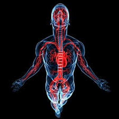 Timeline: acesso venoso