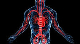 Timeline: acesso venoso