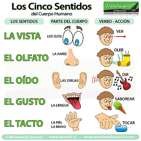 Conocimientos Previos Necesarios