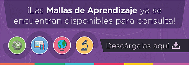 Mallas de aprendizaje